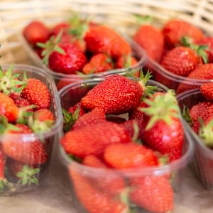 fruits légumes frais ty Laz Finistère épicerie